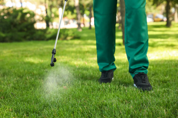 Best Local Pest Control Services  in Titusville, PA