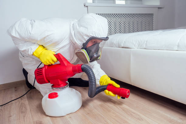 Professional Pest Control in Titusville, PA