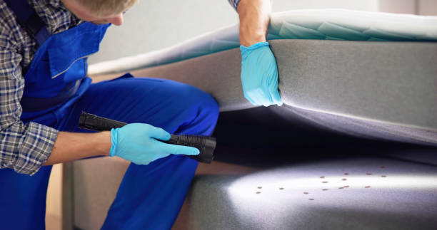 Professional Pest Control in Titusville, PA