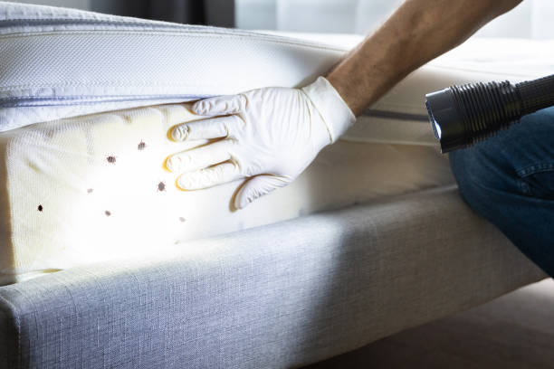 Best Residential Pest Control  in Titusville, PA