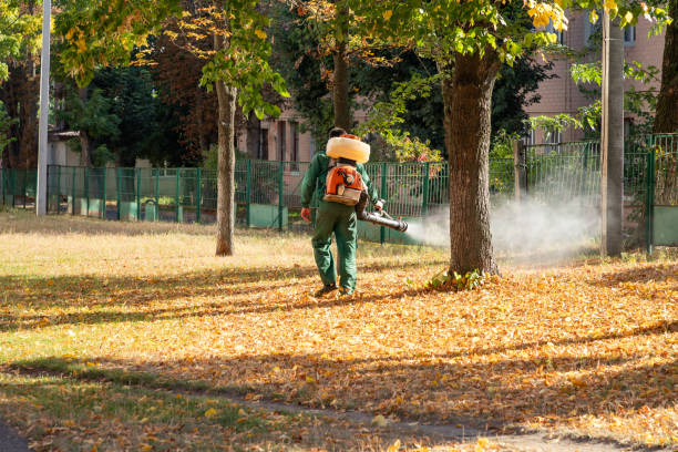 Best Mosquito Control Services  in Titusville, PA