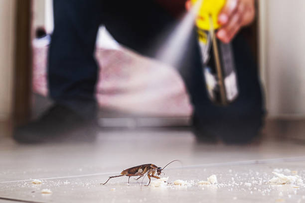 Best Pest Removal Services  in Titusville, PA