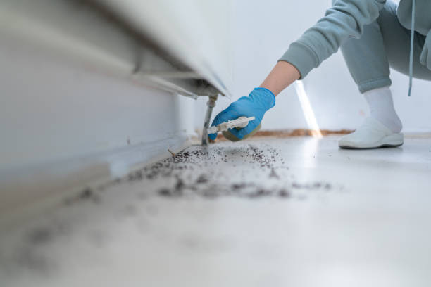 Wildlife Control Services in Titusville, PA