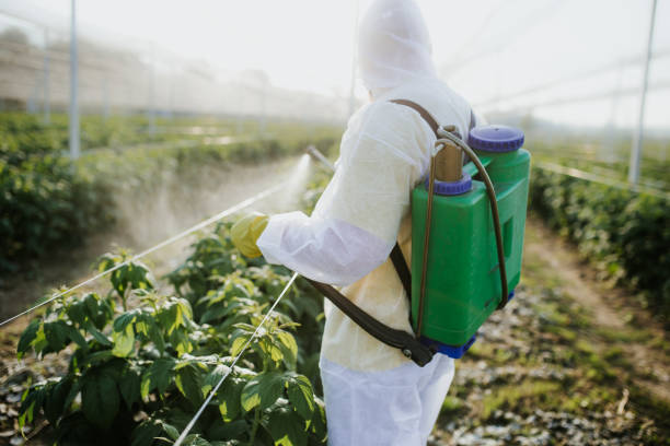 Best Affordable Pest Control Services  in Titusville, PA